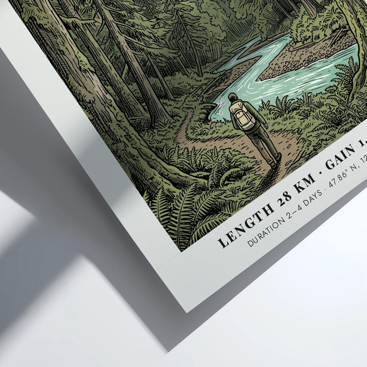 Poster of the Hoh River Trail in the Olympic Peninsula with lush trees.
