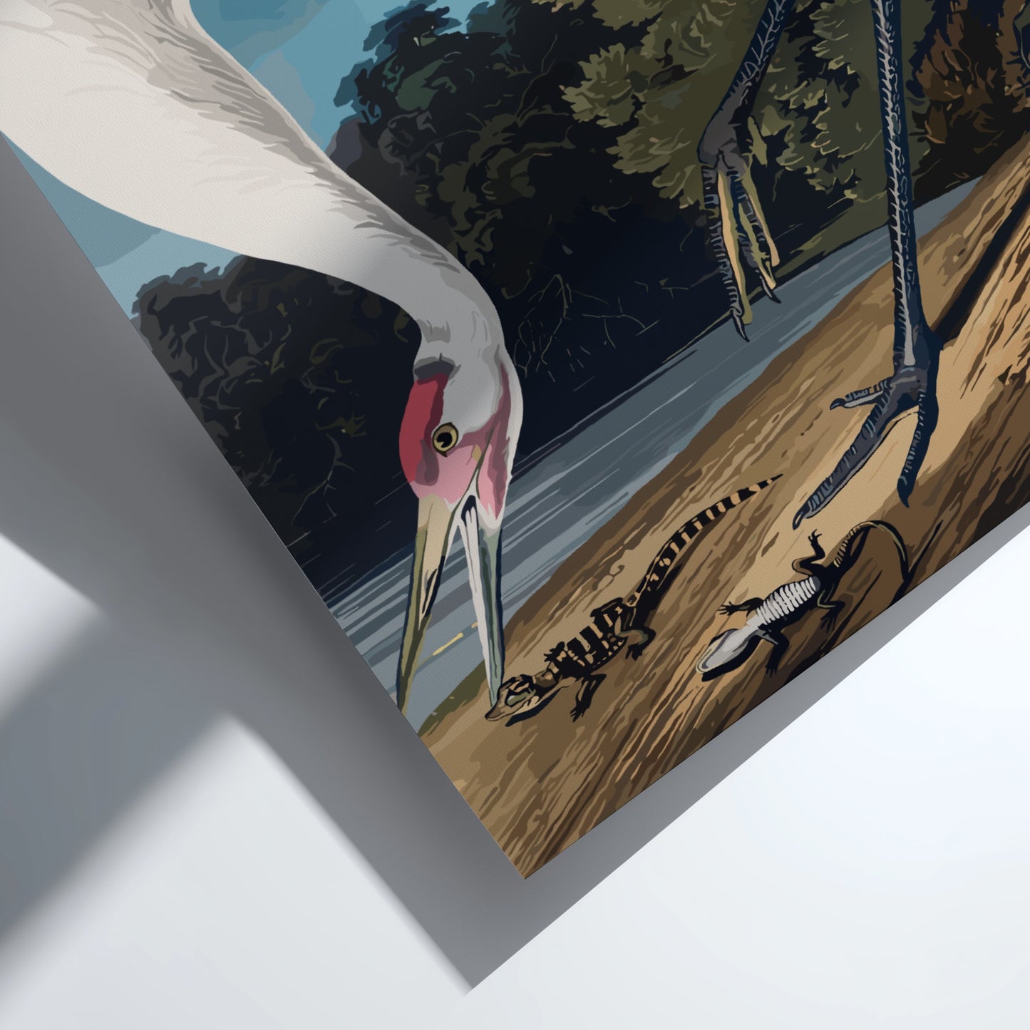 Hooping Crane art poster featuring detailed illustration of a crane in natural colors, perfect for nature