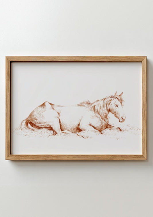 Vintage drawing of a horse lying in grass, rendered in brown ink, framed in wood.