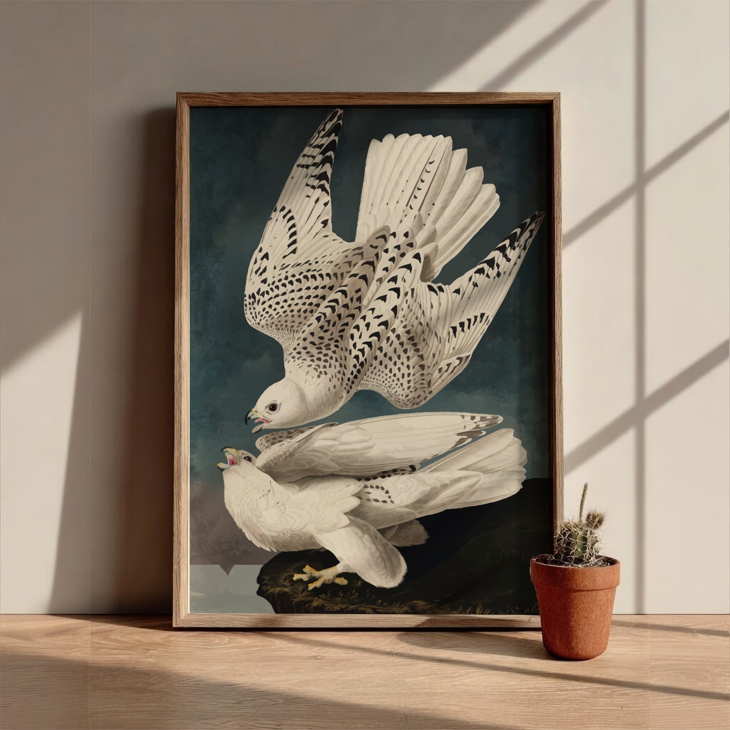 Iceland or Jer Falcon poster featuring white feathers and black markings, vintage art style for nature decor