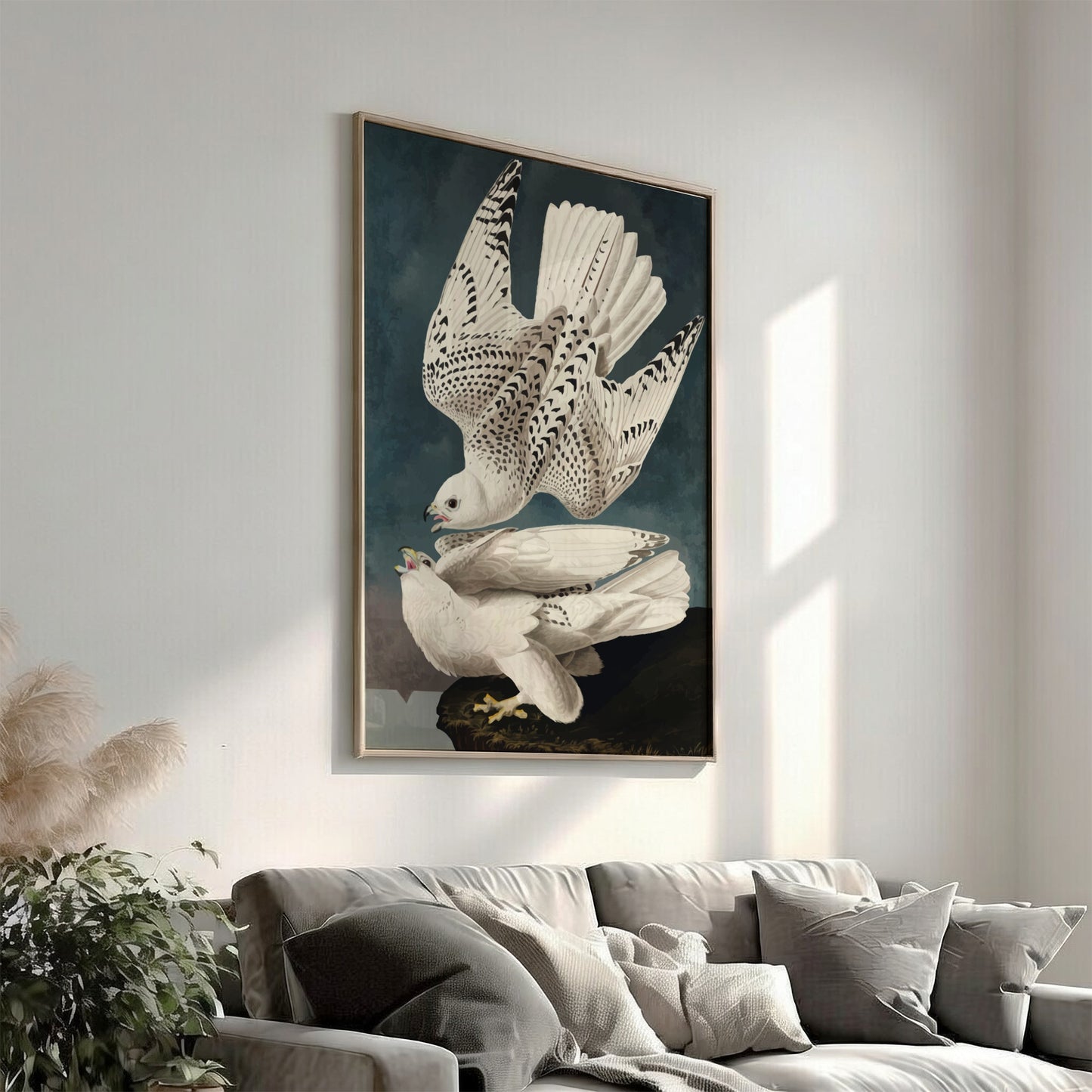 Iceland or Jer Falcon poster featuring white feathers and black markings, vintage art style for nature decor