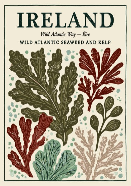 Kitchen poster featuring seaweed illustrations in earthy tones, perfect for coastal decor