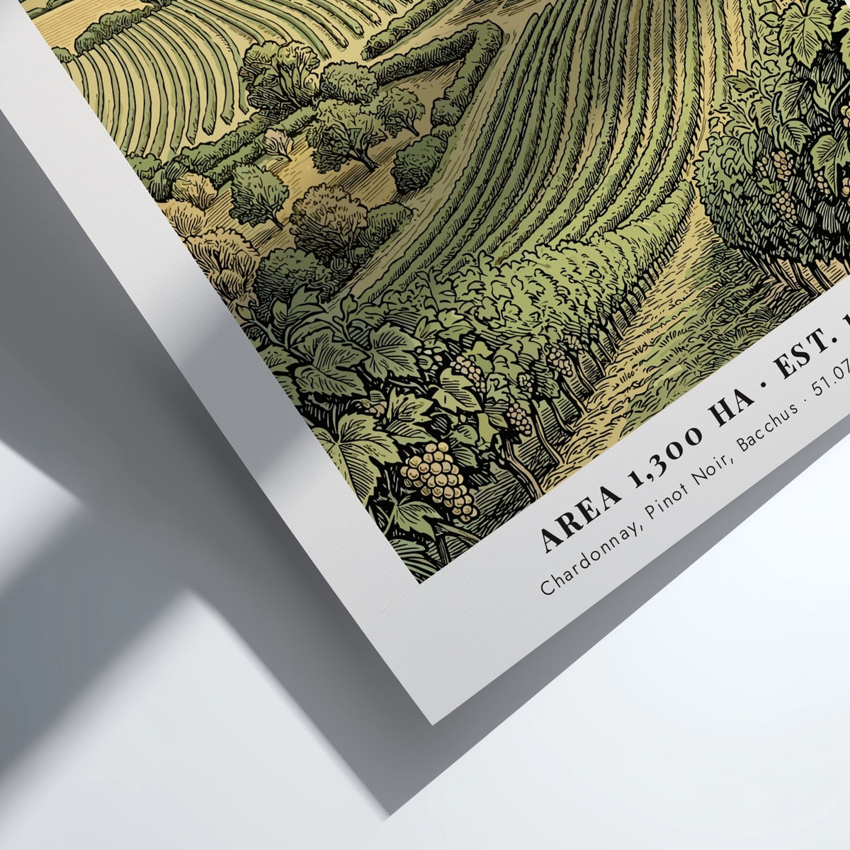Poster featuring a Kent vineyard landscape with rows of grapes and an oast house.