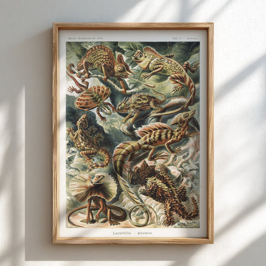Vintage art poster featuring a detailed illustration of various lizards, known as Lacertilia, in earthy tones.