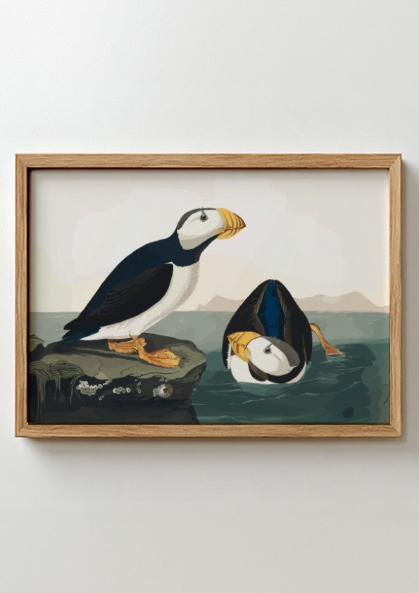 Large Billed Puffin poster featuring vibrant colors and intricate details, perfect for bird lovers and