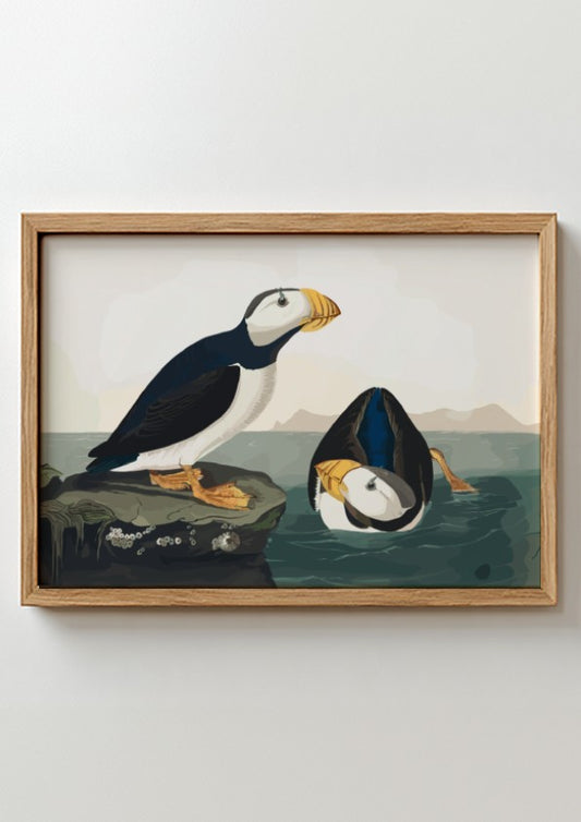 Large Billed Puffin poster featuring vibrant colors and intricate details, perfect for bird lovers and