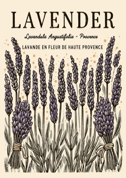 Lavender kitchen poster featuring purple flowers and vintage style for home decor