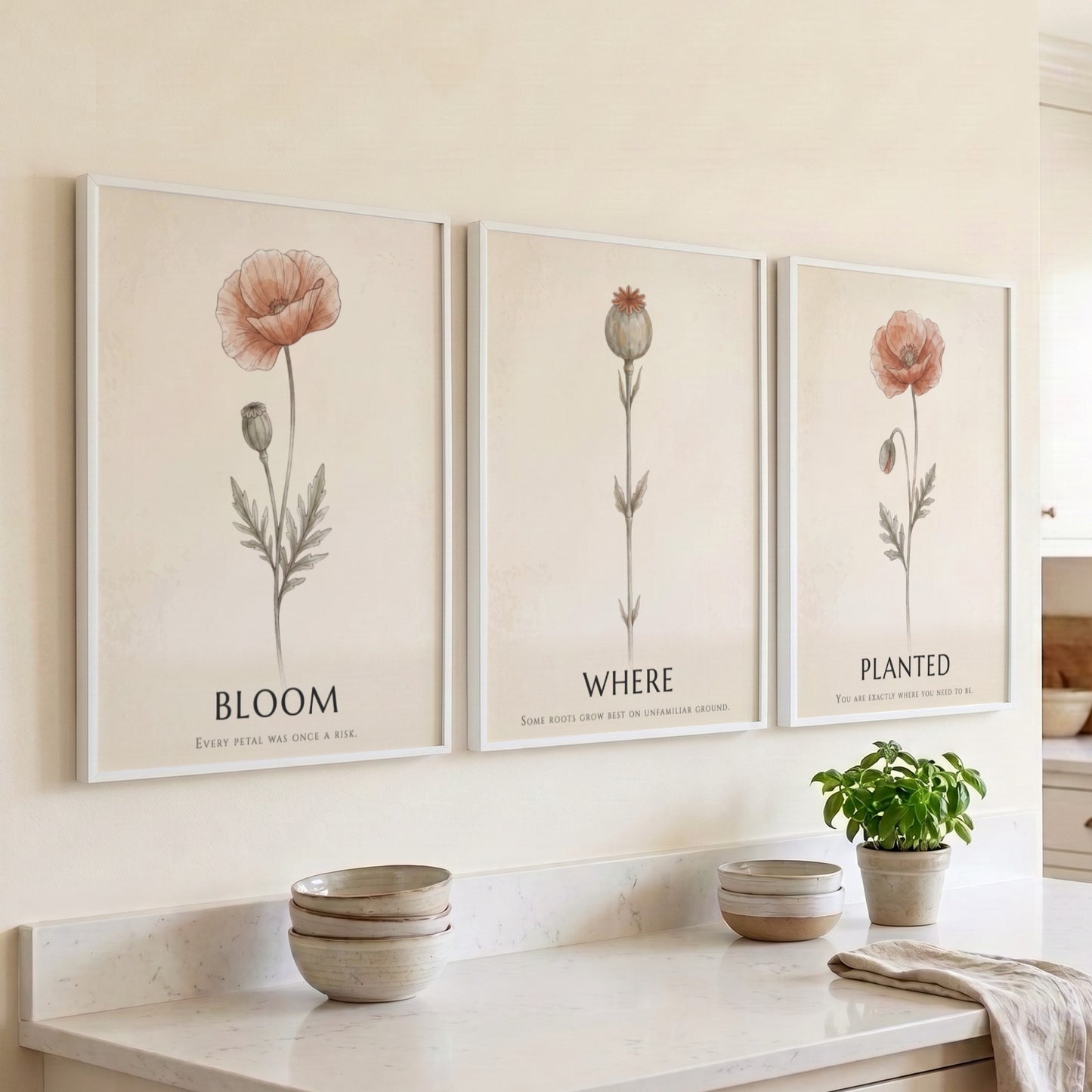 Poster triptych showing three delicate poppy flowers in a minimalist style on cream.