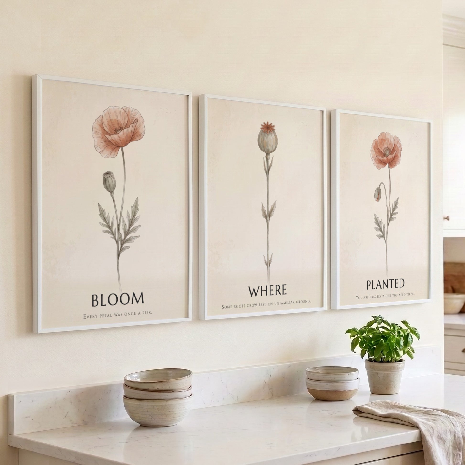 Poster triptych showing three delicate poppy flowers in a minimalist style on cream.