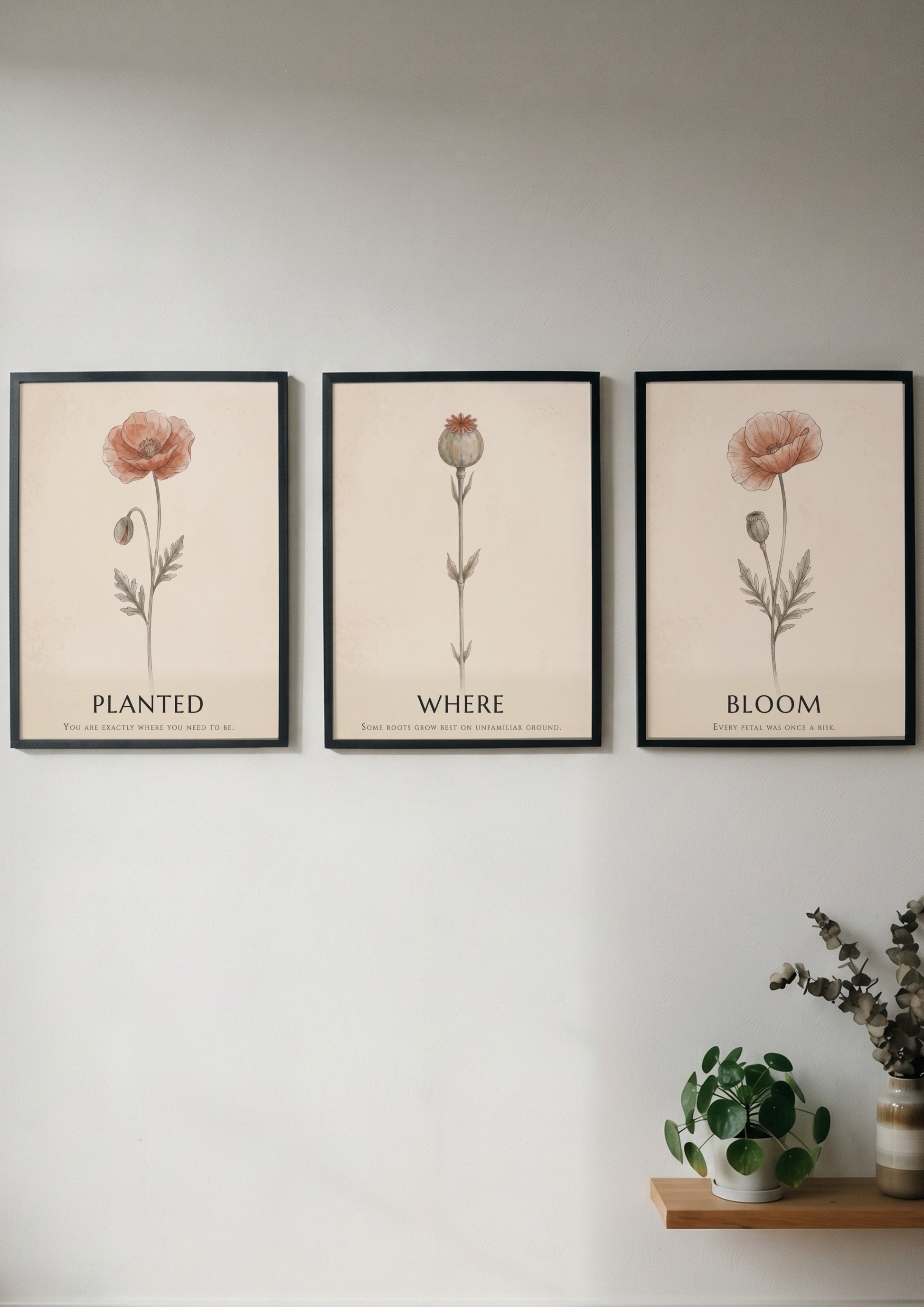 Poster triptych showing three delicate poppy flowers in a minimalist style on cream.