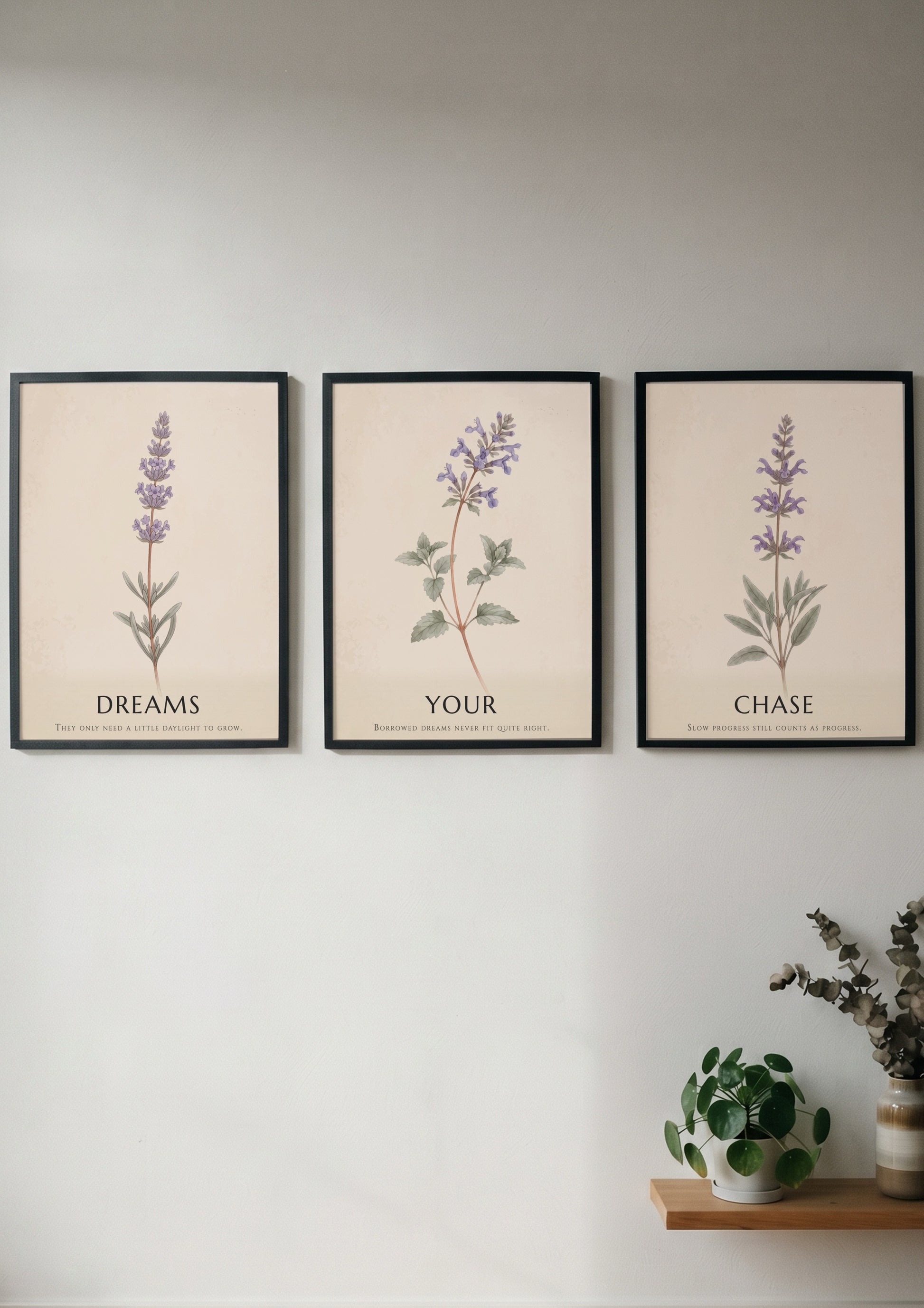 Poster set showing three lavender and herb sprigs with typography on parchment backgrounds.