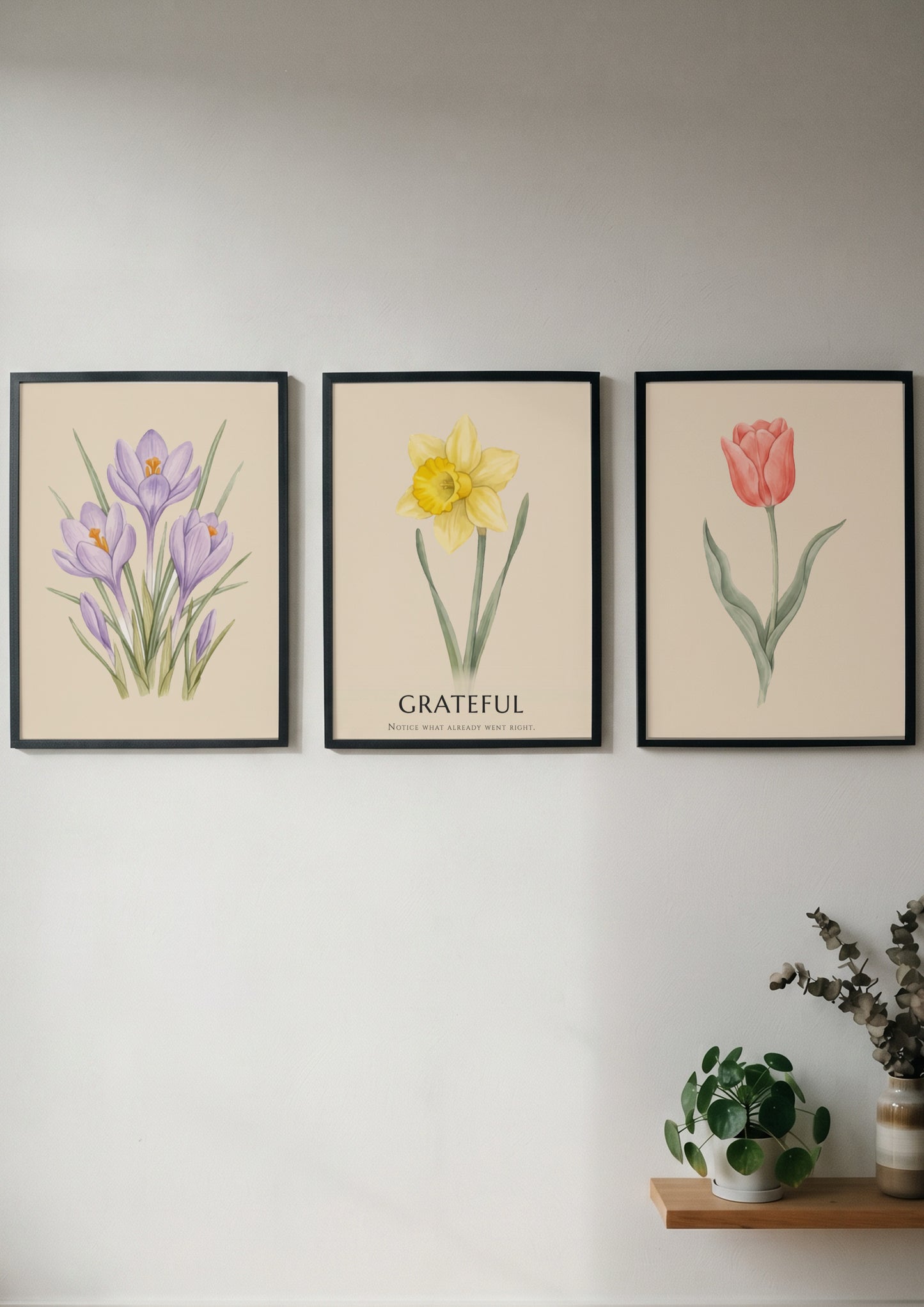 Poster set featuring watercolour crocus, daffodil with grateful text, and tulip on cream