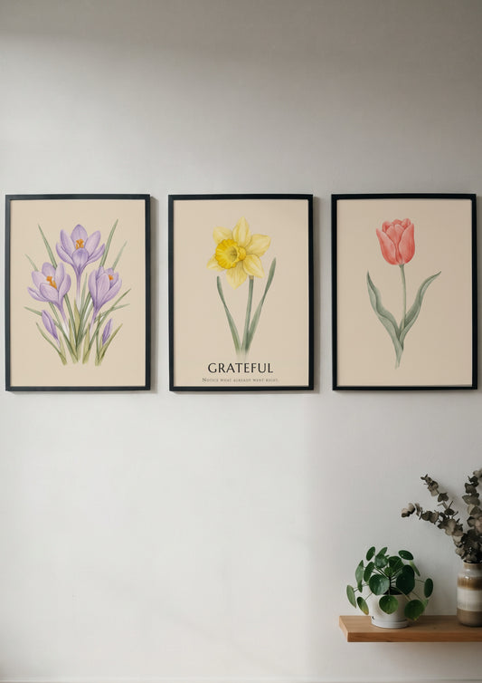 Poster set featuring watercolour crocus, daffodil with grateful text, and tulip on cream
