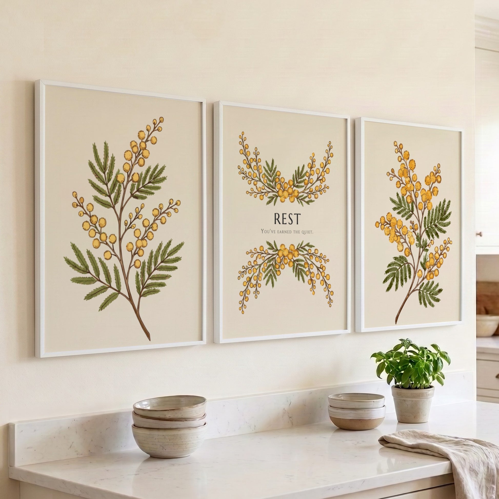 Poster triptych featuring delicate yellow mimosa flowers and the word REST on cream.