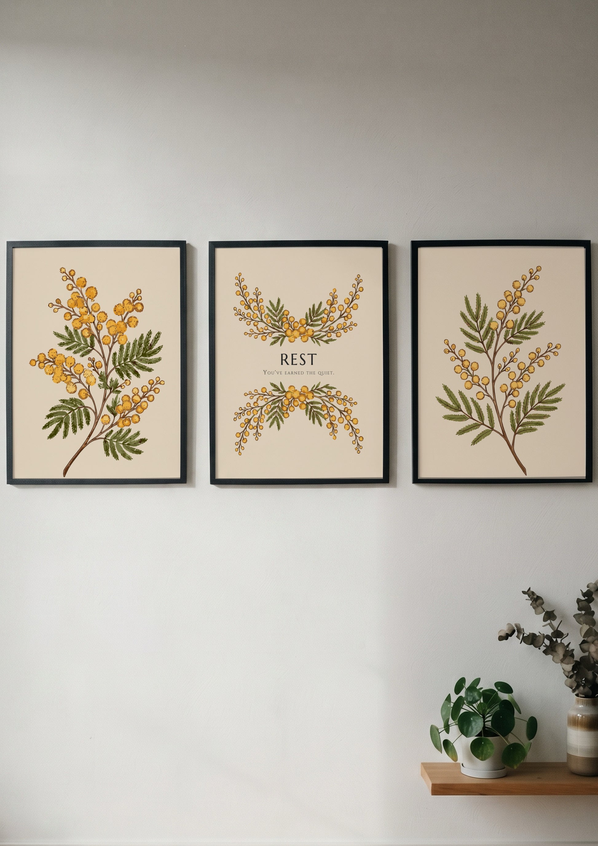 Poster triptych featuring delicate yellow mimosa flowers and the word REST on cream.