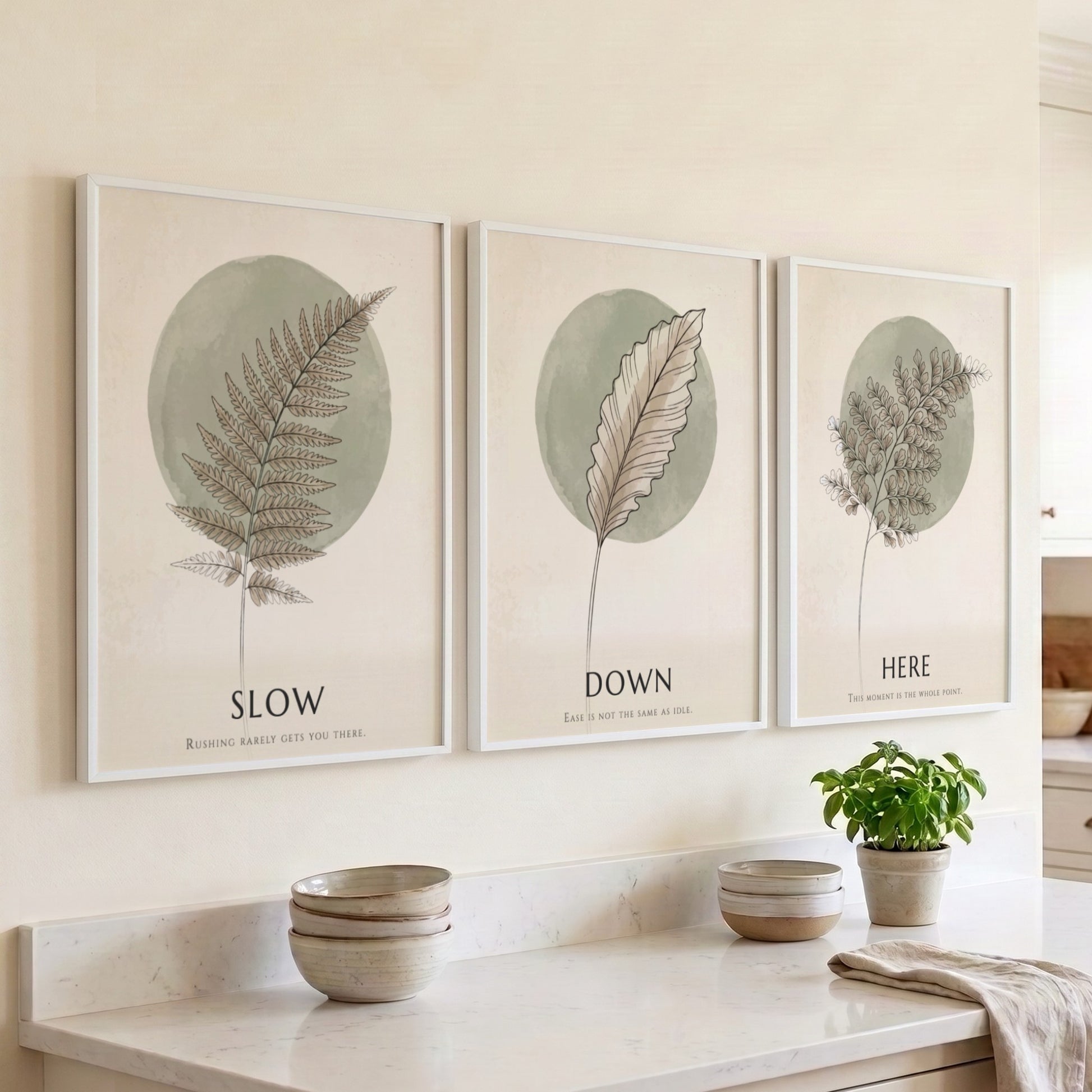 Poster triptych featuring delicate fern and feather illustrations in sage green on cream.