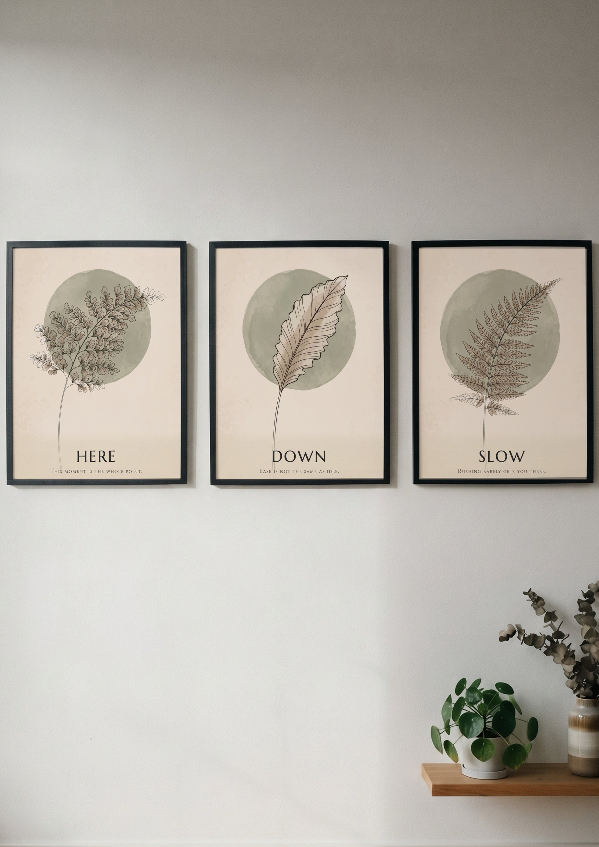 Poster triptych featuring delicate fern and feather illustrations in sage green on cream.