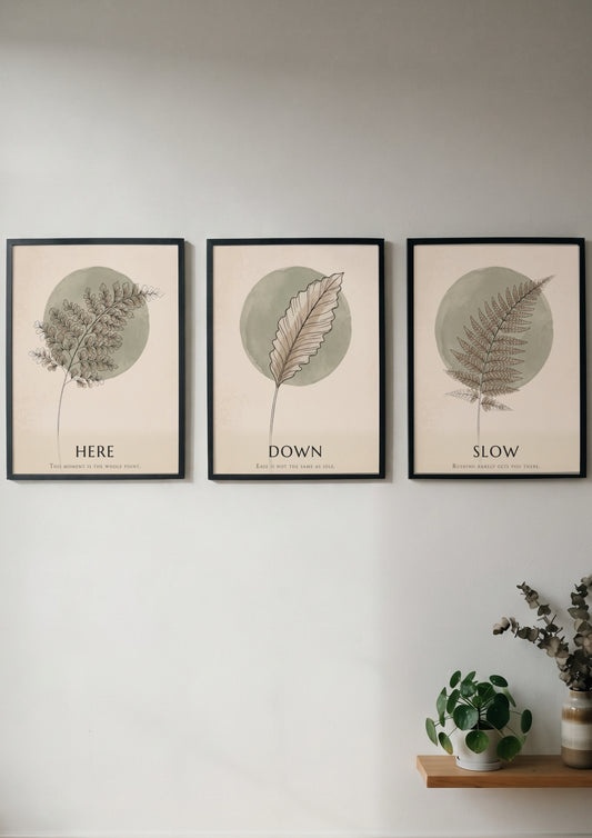 Poster triptych featuring delicate fern and feather illustrations in sage green on cream.