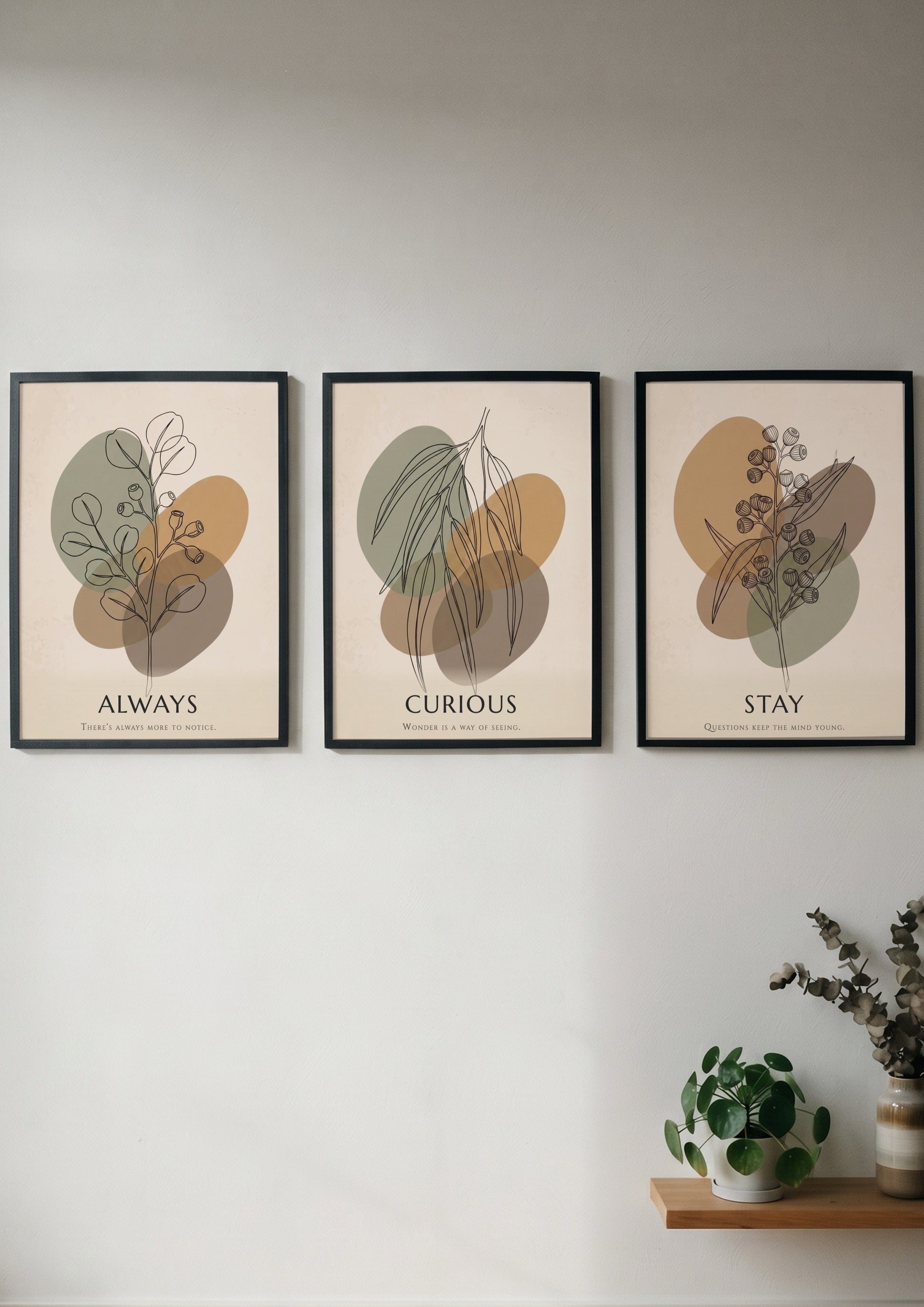 Poster set featuring Stay Curious Always text with botanical line drawings on abstract shapes
