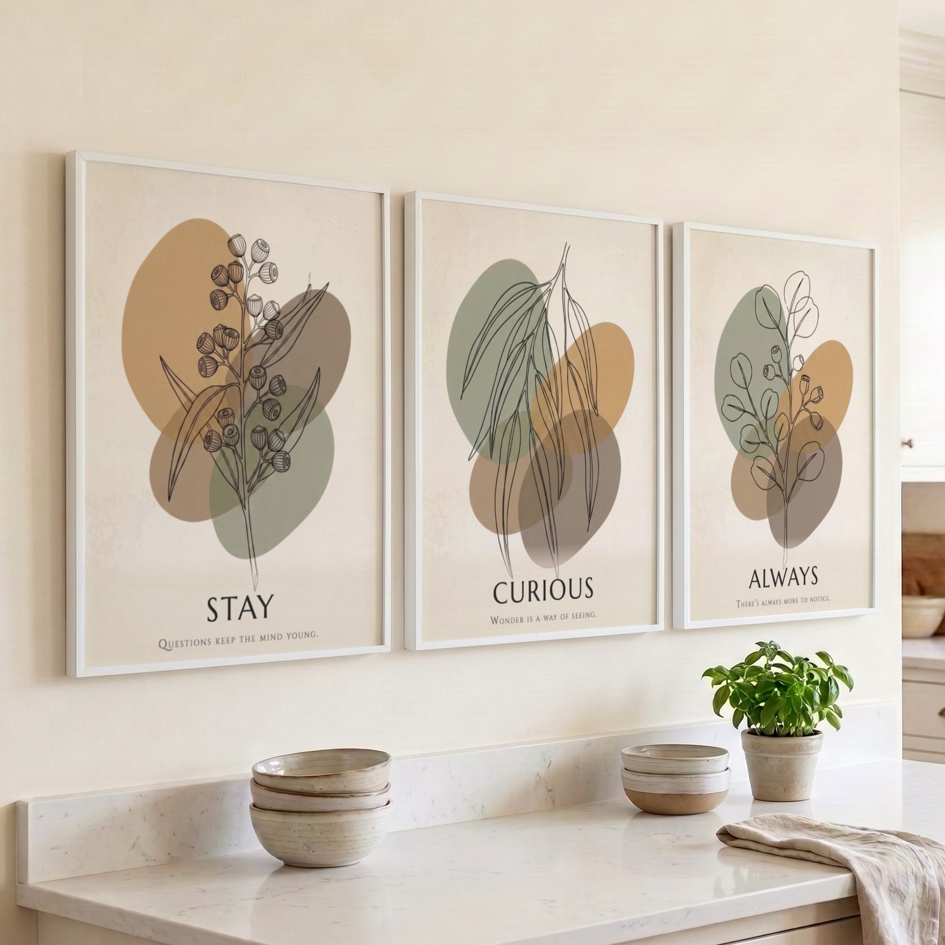 Poster set featuring Stay Curious Always text with botanical line drawings on abstract shapes