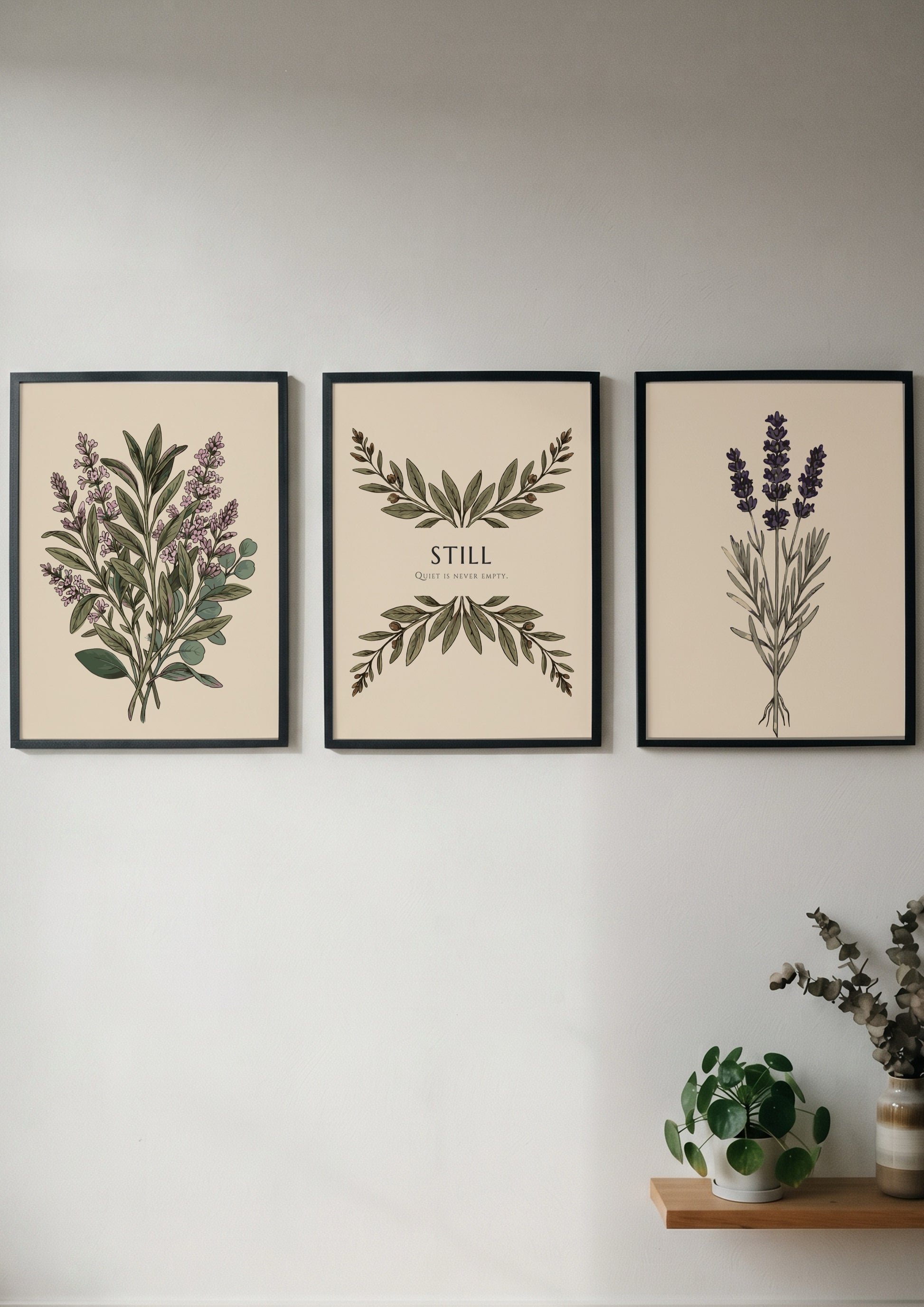 Poster triptych featuring sage and lavender botanical illustrations with the text Still centered