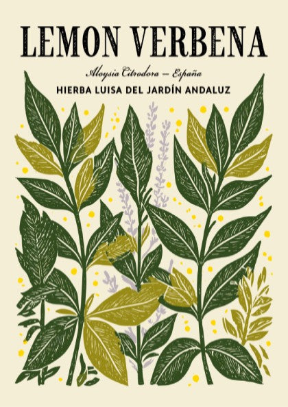 Kitchen poster featuring lemon verbena leaves in green and yellow tones, botanical style, perfect for home