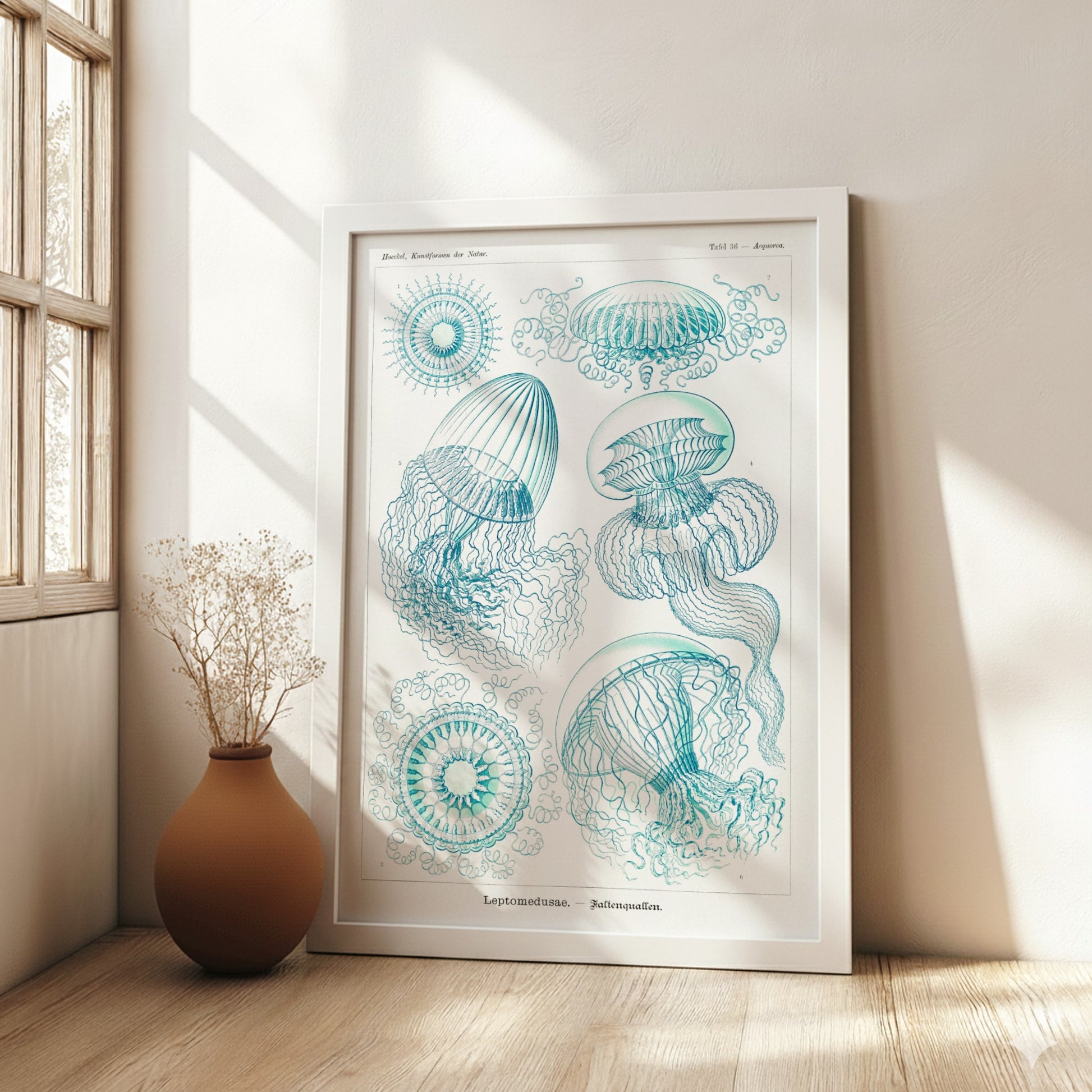 Vintage scientific illustration poster of various jellyfish in teal and white, titled 'Leptomedusae –
