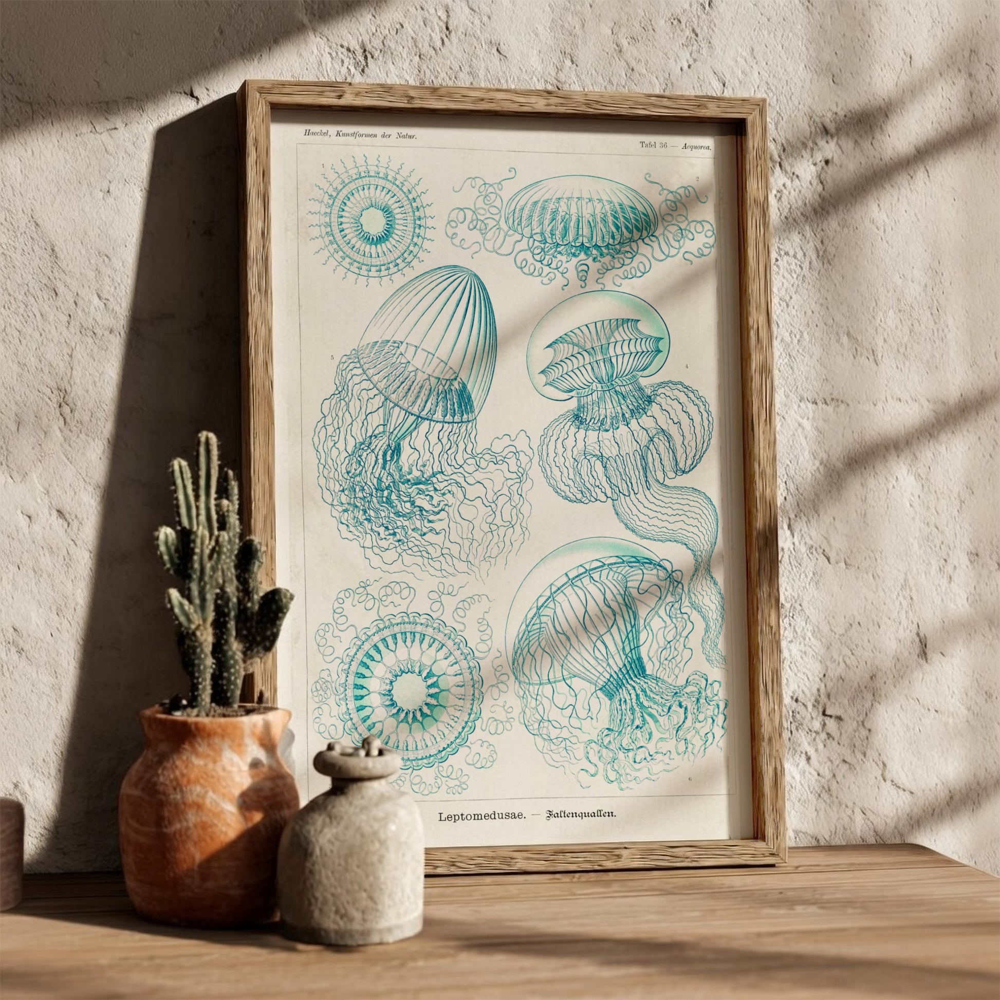 Vintage scientific illustration poster of various jellyfish in teal and white, titled 'Leptomedusae –
