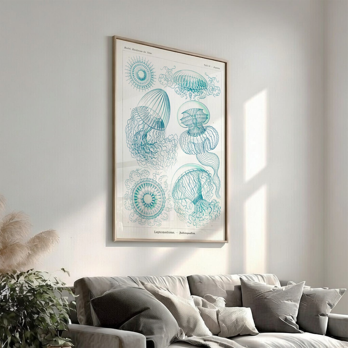 Vintage scientific illustration poster of various jellyfish in teal and white, titled 'Leptomedusae –