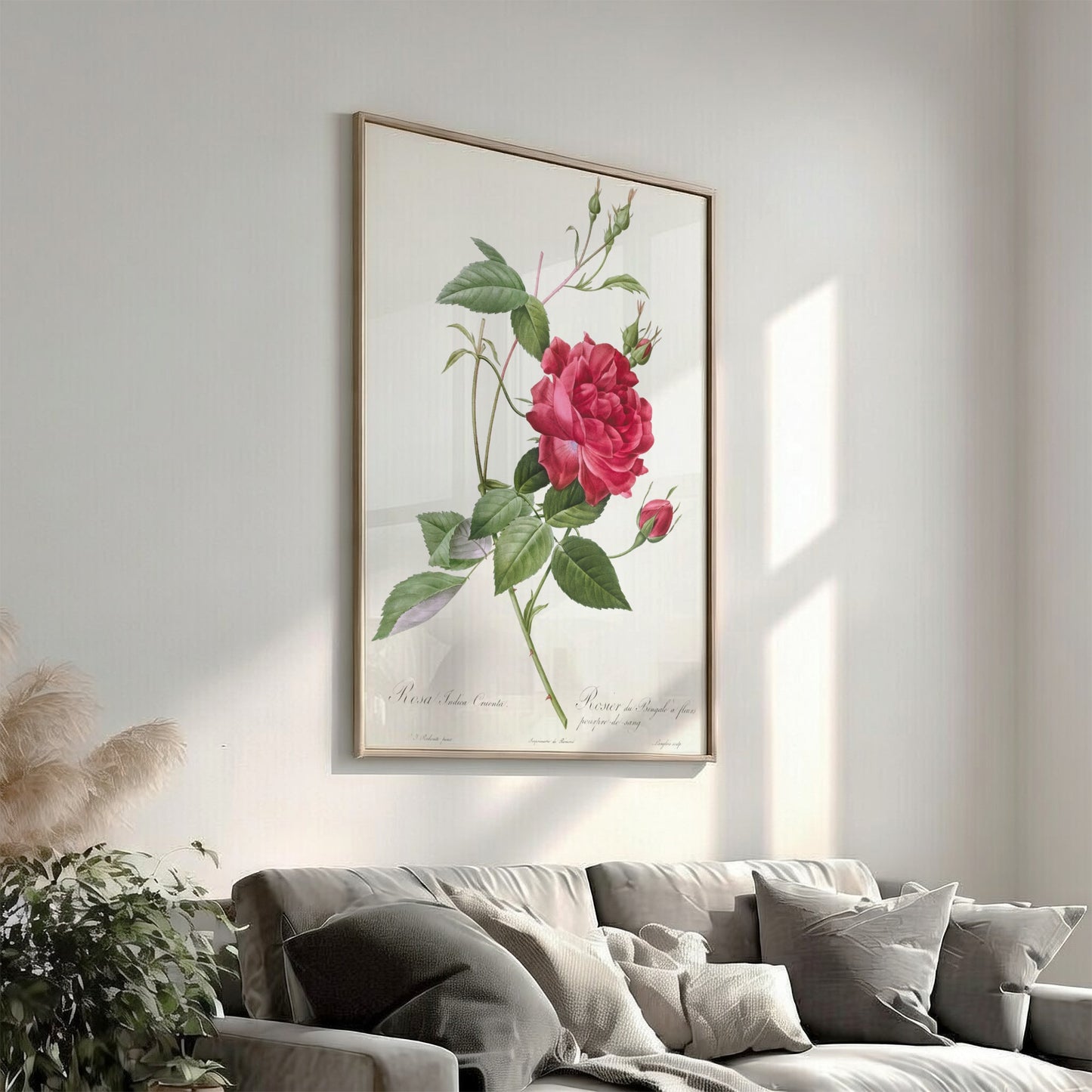 Famous art poster featuring a detailed illustration of a blood-red Bengal rose with green leaves and buds by