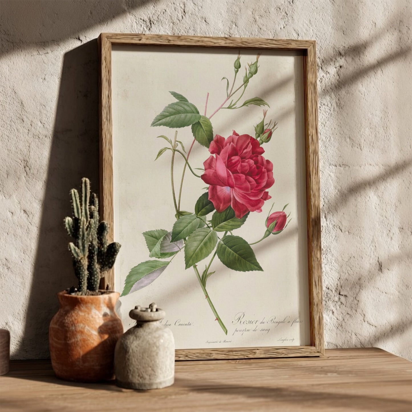Famous art poster featuring a detailed illustration of a blood-red Bengal rose with green leaves and buds by