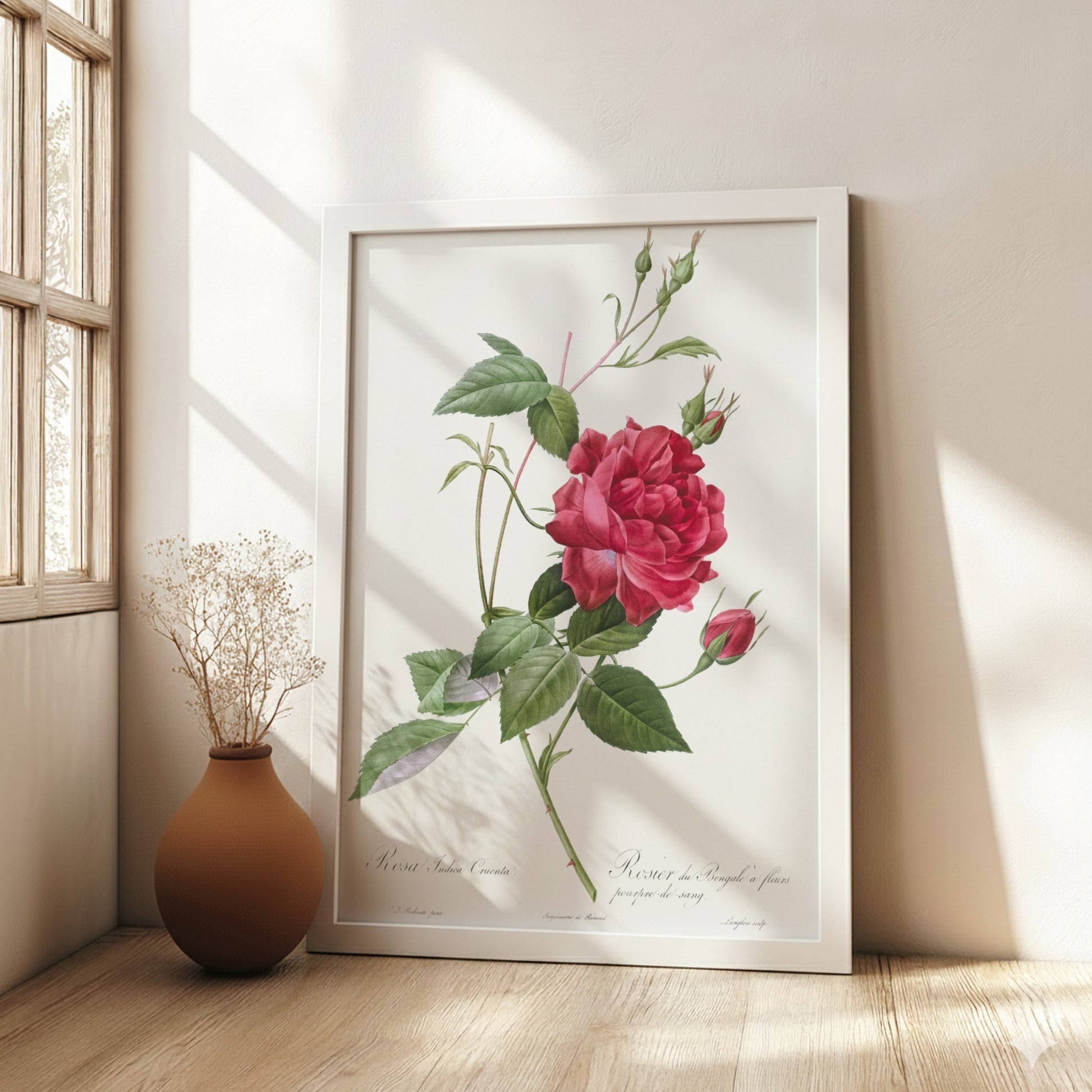 Famous art poster featuring a detailed illustration of a blood-red Bengal rose with green leaves and buds by
