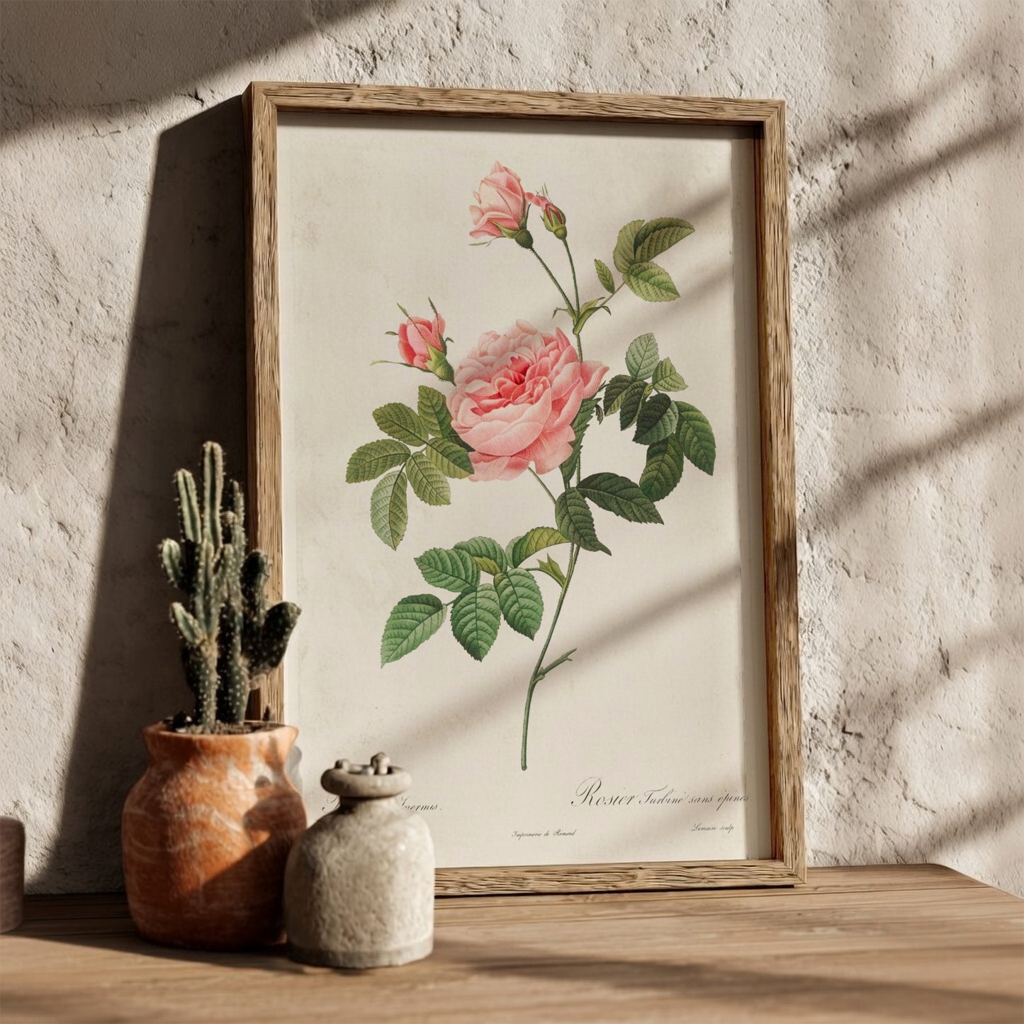 Vintage botanical art poster of a pink Boursault Rose with green leaves, in the style of Pierre-Joseph