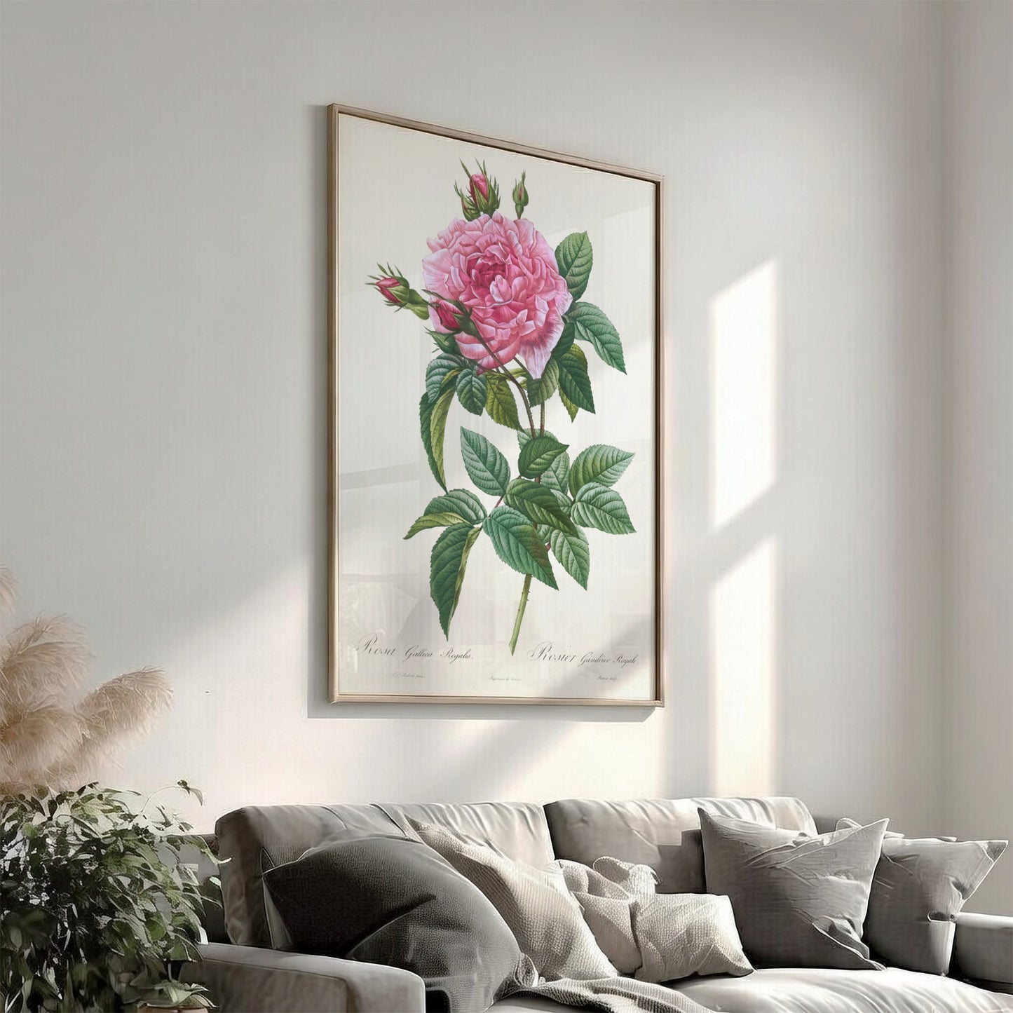Vintage pink rose botanical art poster with green leaves and buds, in Redouté style.