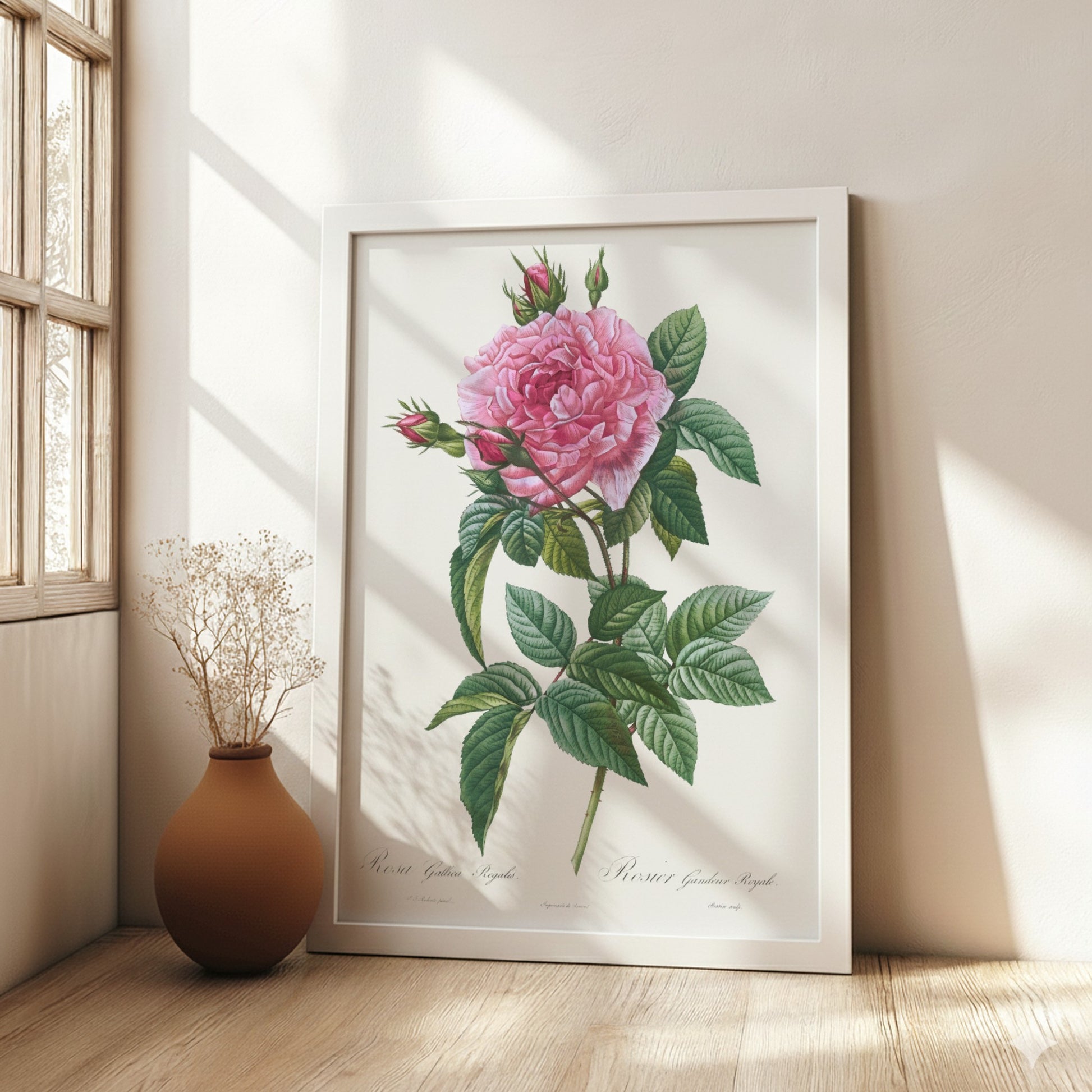 Vintage pink rose botanical art poster with green leaves and buds, in Redouté style.