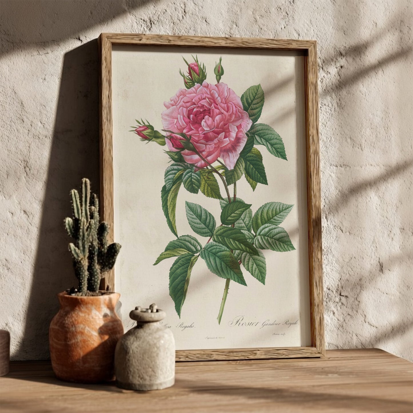 Vintage pink rose botanical art poster with green leaves and buds, in Redouté style.