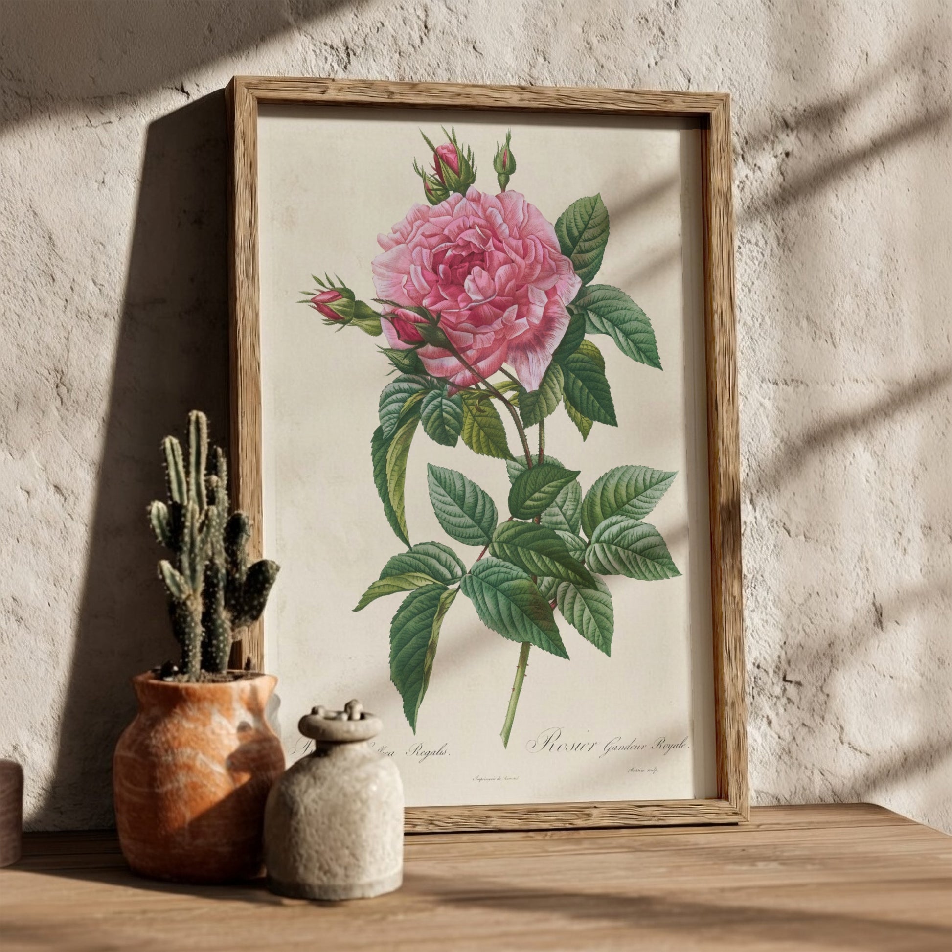 Vintage pink rose botanical art poster with green leaves and buds, in Redouté style.
