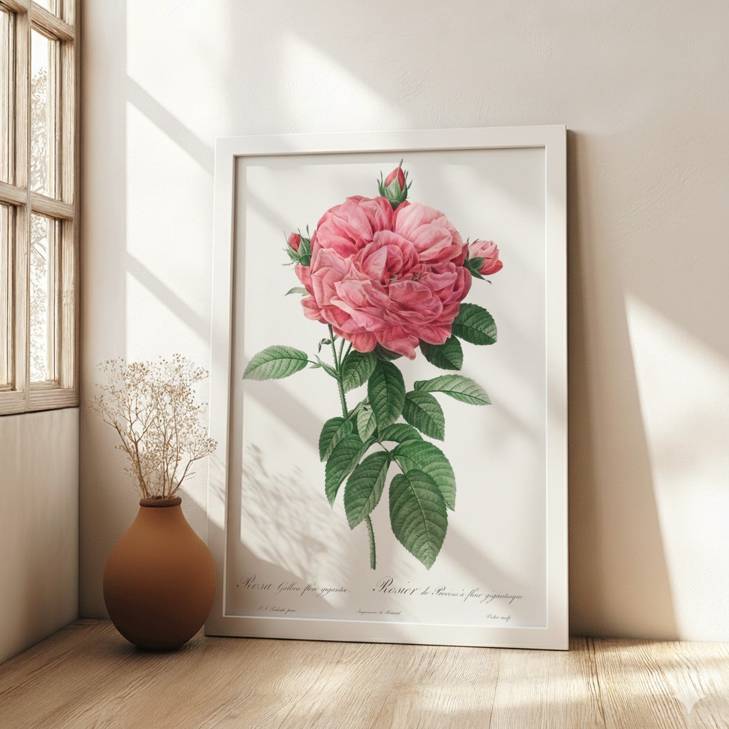 Famous art poster of a pink Giant French rose bloom by Pierre-Joseph Redouté, with green leaves.