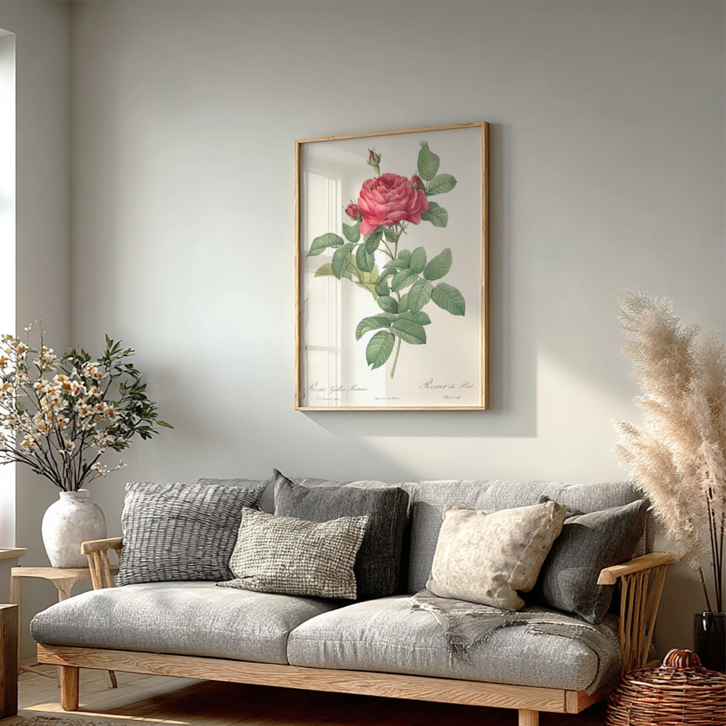 Vintage botanical art poster of Pierre-Joseph Redouté's Rosa gallica pontiana (Bridge Rose) with pink blooms