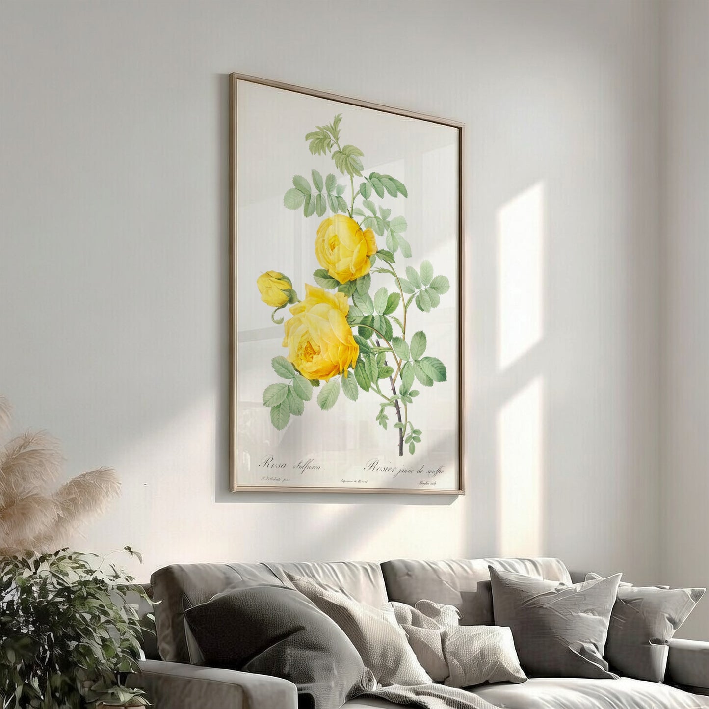 Yellow Rose of Sulfur botanical poster featuring a vintage illustration of yellow roses and green leaves by