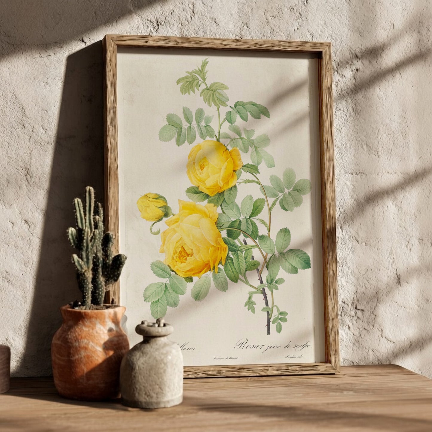 Yellow Rose of Sulfur botanical poster featuring a vintage illustration of yellow roses and green leaves by