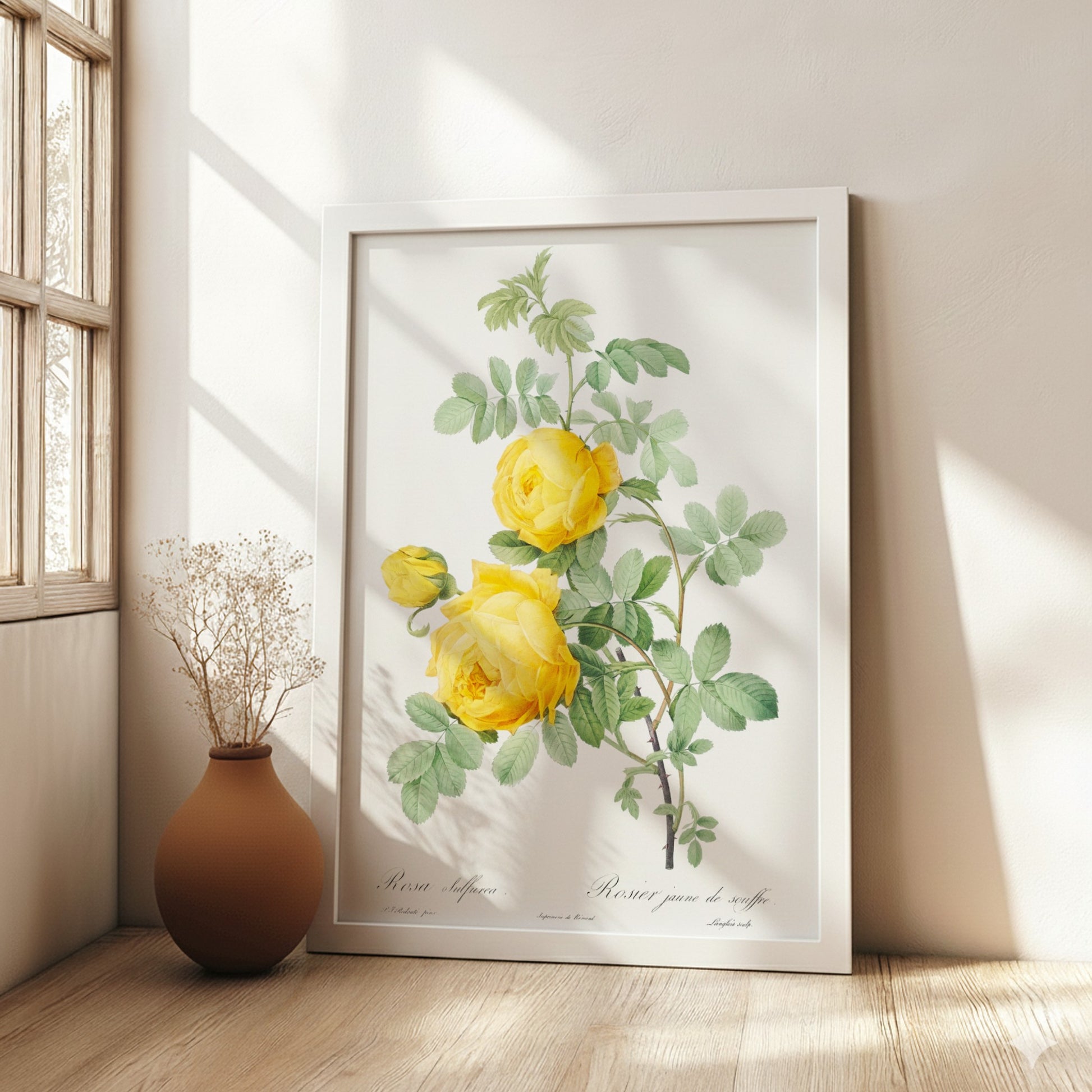 Yellow Rose of Sulfur botanical poster featuring a vintage illustration of yellow roses and green leaves by