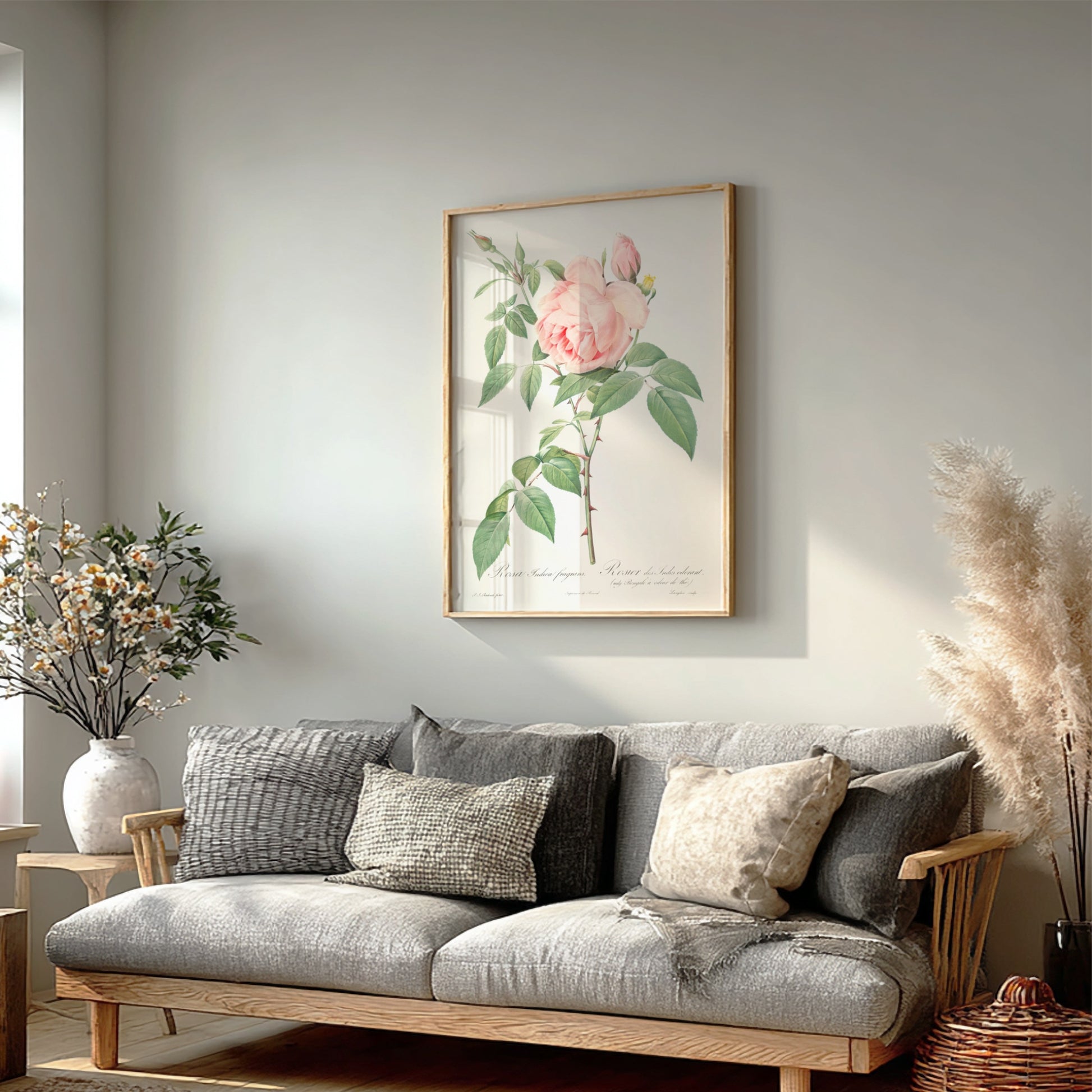 Famous art poster of a pink Fragrant Rosebush by Pierre-Joseph Redouté, vintage botanical illustration.