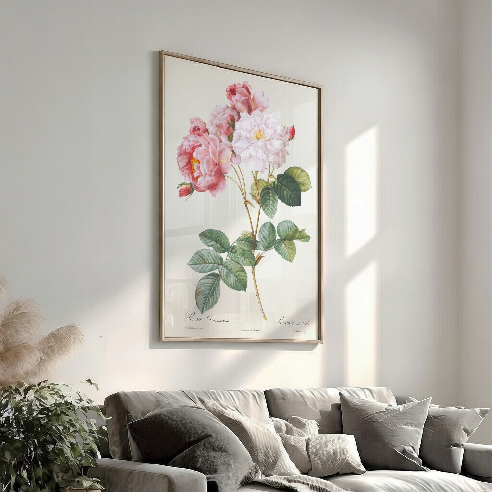 Pierre-Joseph Redouté "Rosa × damascena" poster featuring pink and white roses with green leaves.