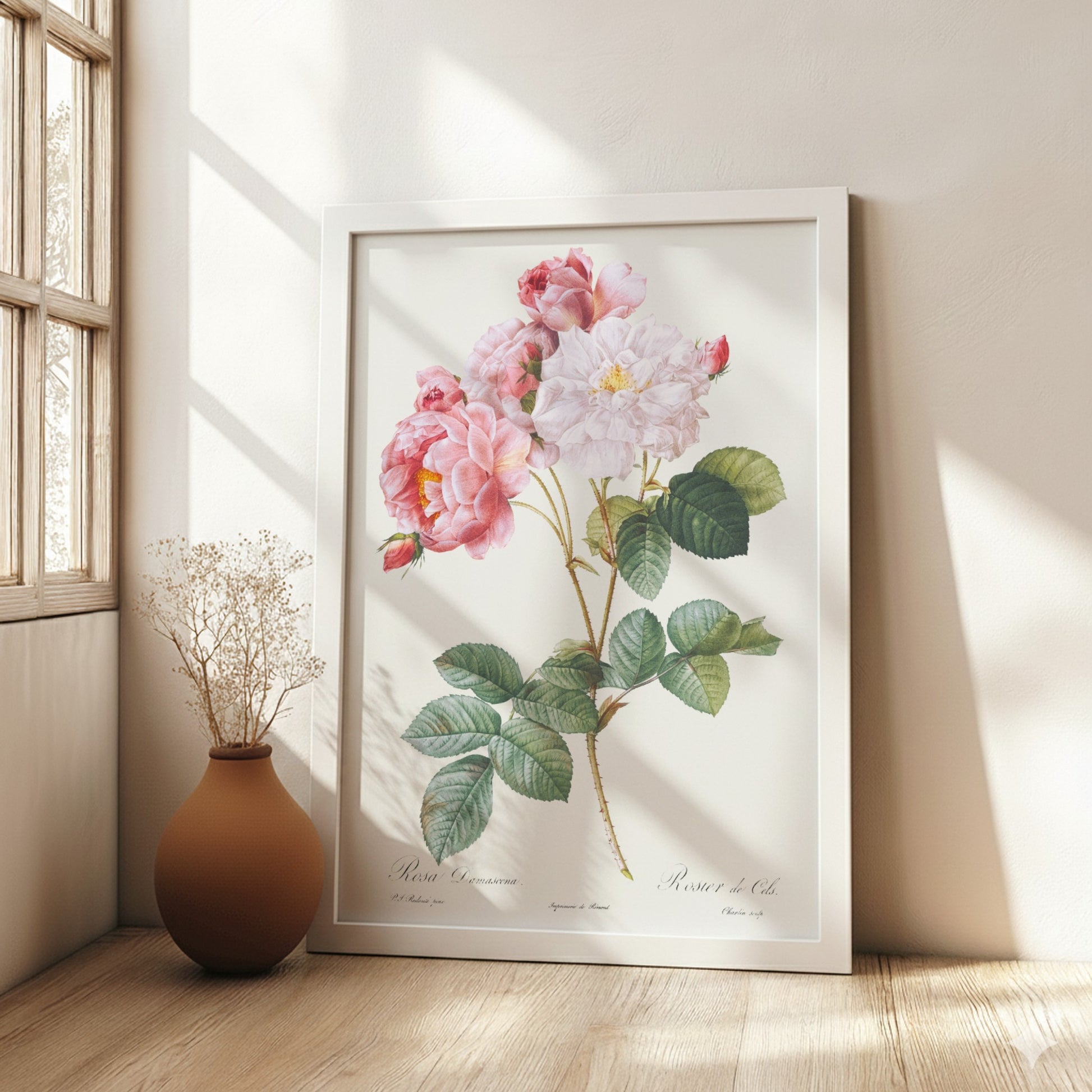 Pierre-Joseph Redouté "Rosa × damascena" poster featuring pink and white roses with green leaves.