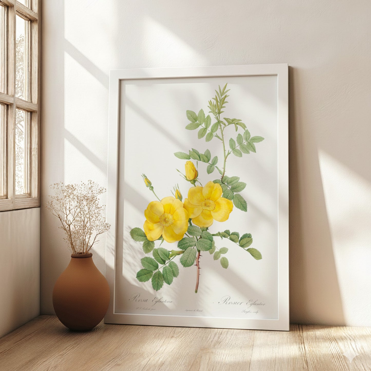 Vintage botanical art poster of yellow Sweetbriar roses and green leaves by Pierre-Joseph Redouté.