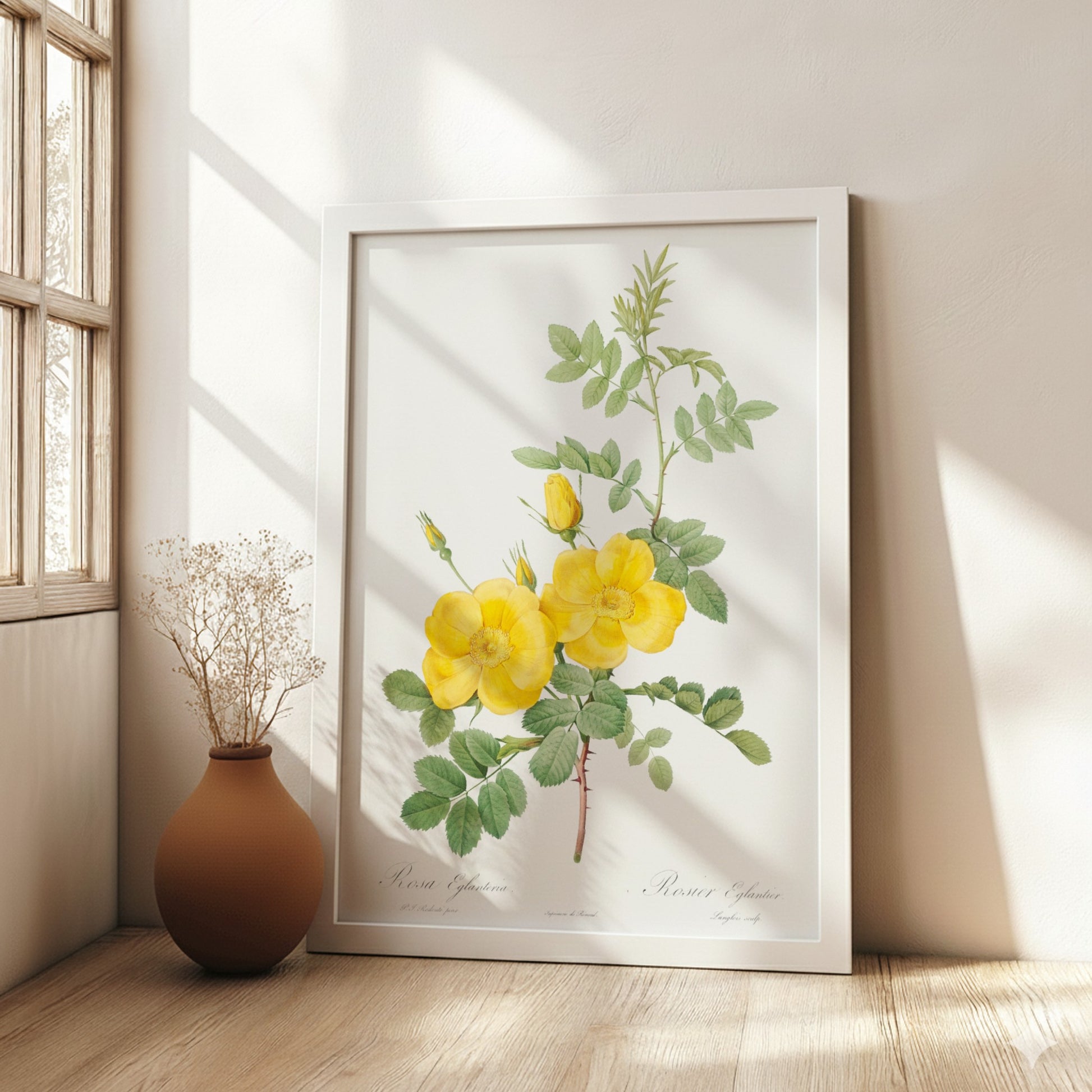 Vintage botanical art poster of yellow Sweetbriar roses and green leaves by Pierre-Joseph Redouté.