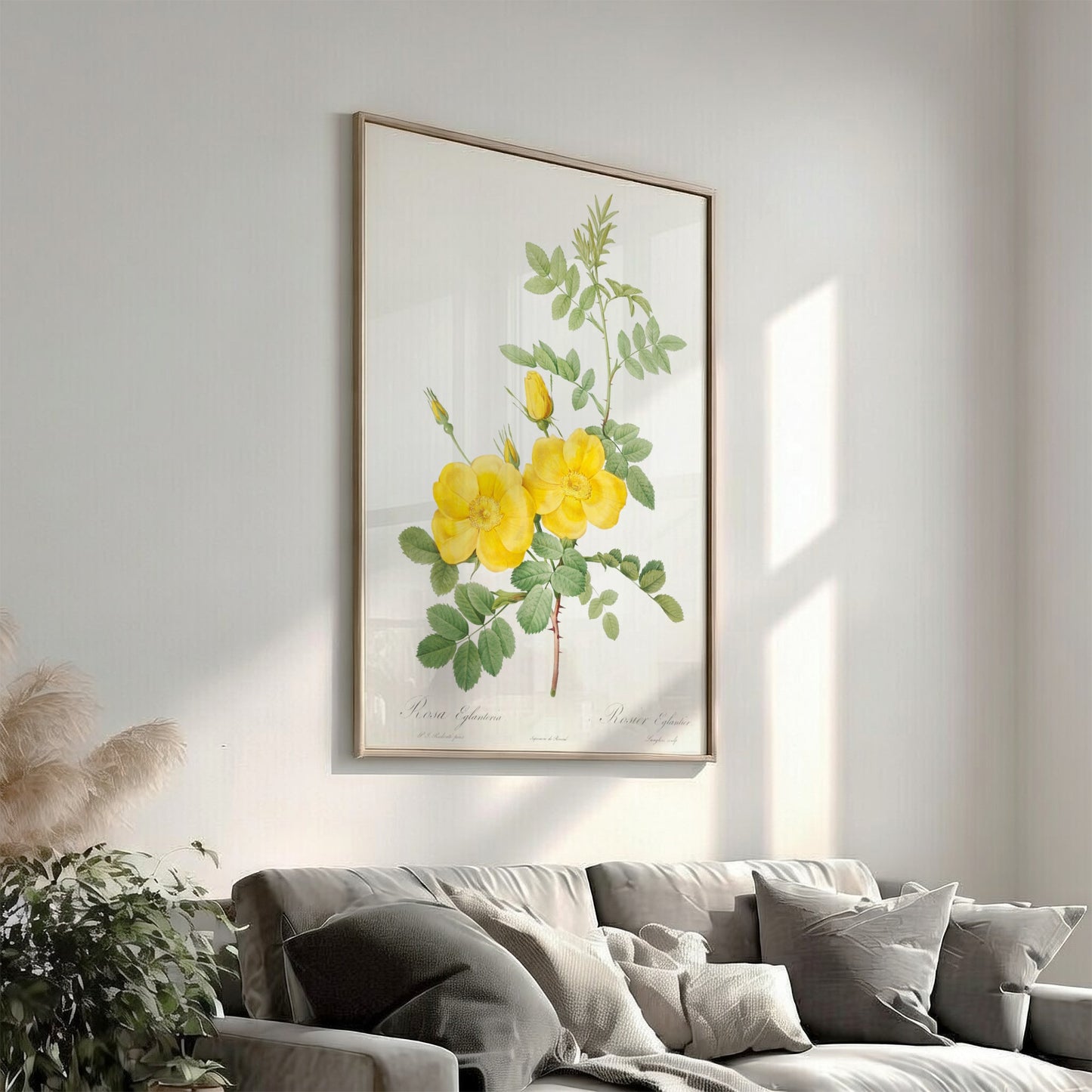 Vintage botanical art poster of yellow Sweetbriar roses and green leaves by Pierre-Joseph Redouté.