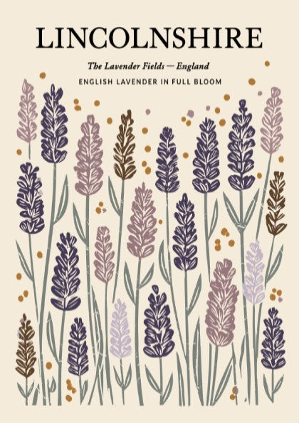 Kitchen poster featuring lavender fields in soft purples and greens, floral decor design for home