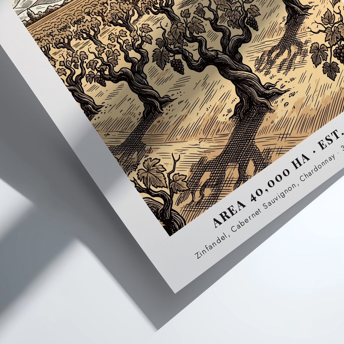 Poster featuring a Lodi California vineyard with a barn and water tower illustration